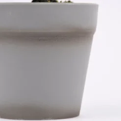 Kunstpflanze im Topf Sukkulente grün 27cm
