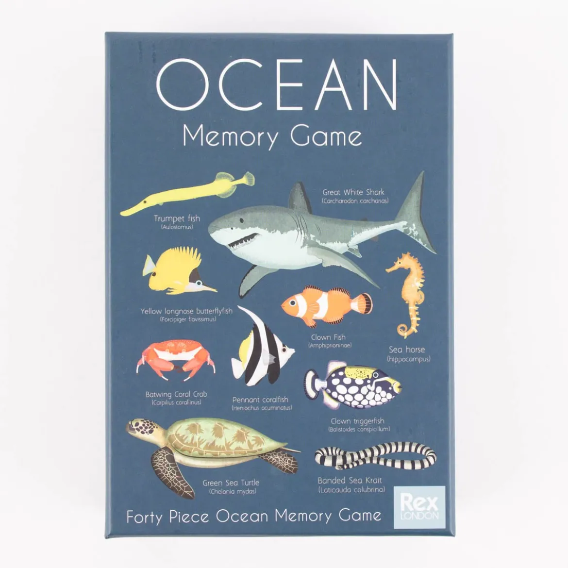 Memo Spiel Ocean Tiere 40 Paare Pappe blau 12x17x5cm