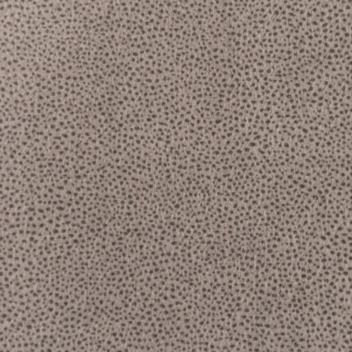 Microfaser Polsterstoff Möbelstoff Letti haustierfreundlich uni grau 1,40m Breite