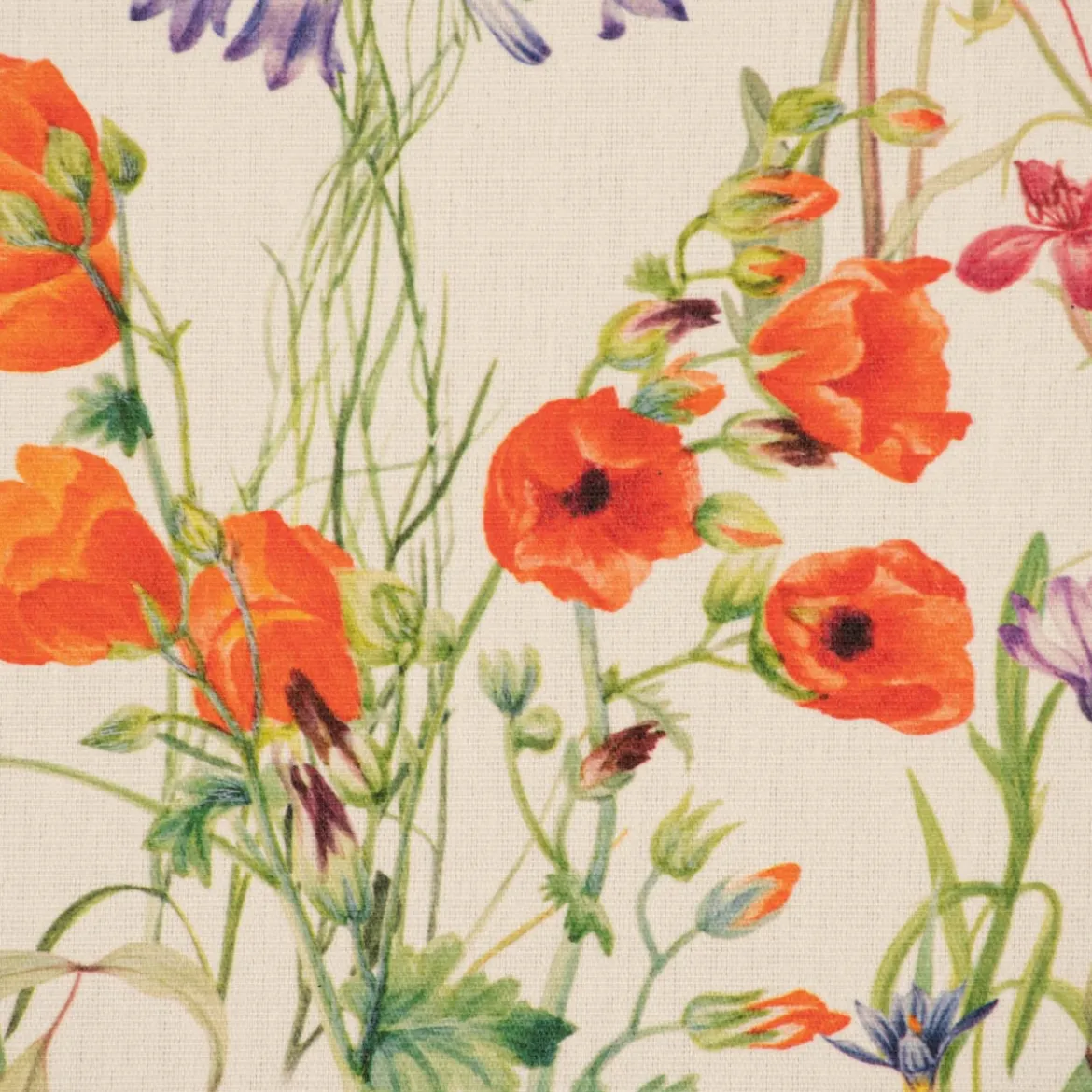 Outdoorstoff Dralon Digitaldruck Wildflower Sunny Field Feldblumen ecru bunt 1,40m Breite