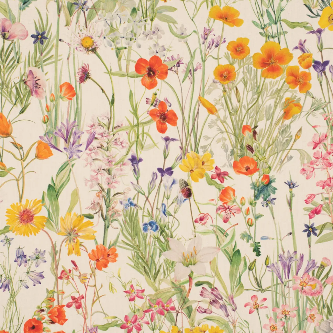 Outdoorstoff Dralon Digitaldruck Wildflower Sunny Field Feldblumen ecru bunt 1,40m Breite