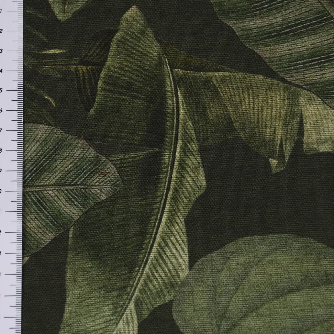 Outdoorstoff Dralon Teflonbeschichtung Botanic Leaf Detailed Blätter Exotik grün 1,40m Breite