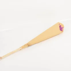 Pampasgras getrocknet Bund mit 15 Stilen lila 70-80cm von Werner Voss