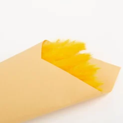 Pampasgras getrocknet Bund mit 15 Stilen gelb 70-80cm von Werner Voss