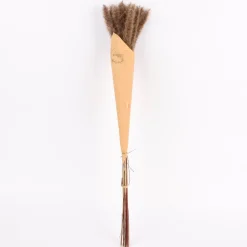 Pampasgras getrocknet Naturmaterialien natur ca.80cm