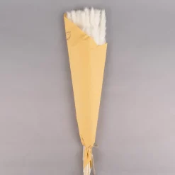 Pampasgras getrocknet Naturmaterialien natur gebleicht ca.75cm