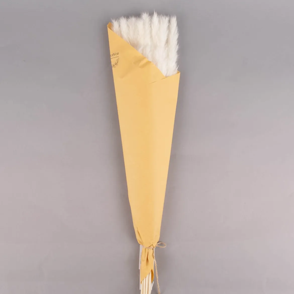 Pampasgras getrocknet Naturmaterialien natur gebleicht ca.75cm