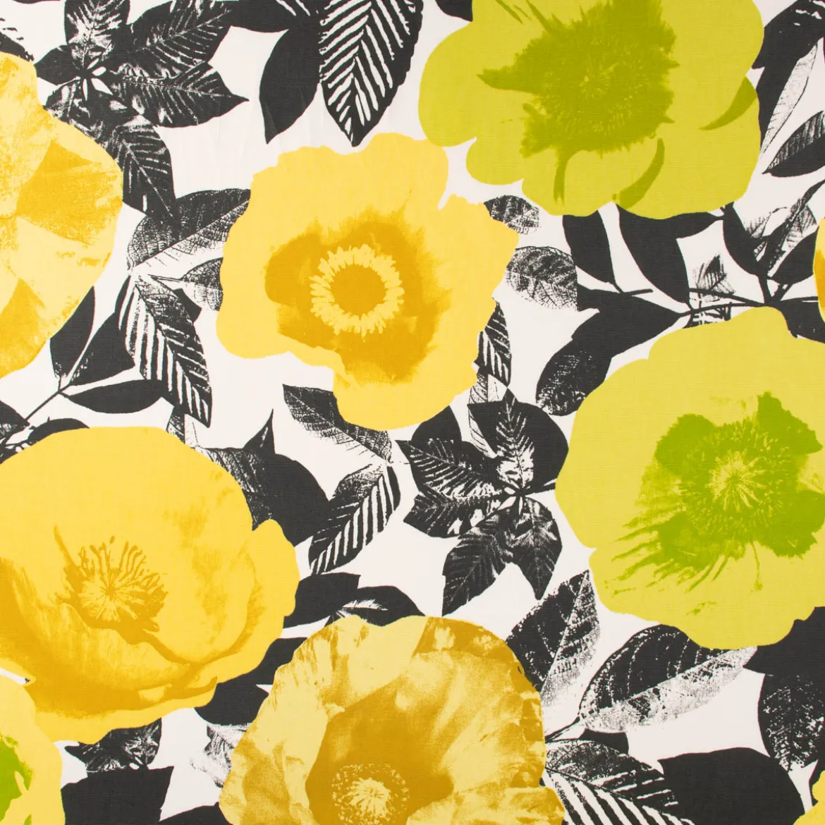 Panama Dekostoff Baumwollstoff Madone Citrus Blumen Pop Art gelb schwarz 140cm Breite