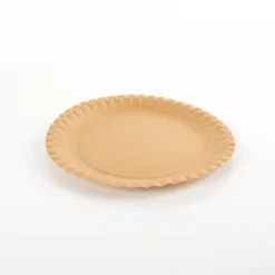 Pappteller aus Kraftpapier FSC Be Green kompostierbar 23cm 20 Stück