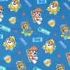 Paw Patrol Jersey Stoff Baumwolle PAWFECT grau 1,50m Breite
