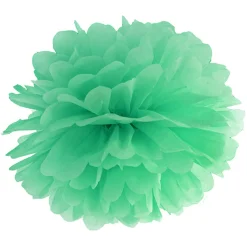 Pompom Seidenpapier mint 25cm
