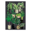 Postkarte Pflanzen Töpfe Papier schwarz grün 10,5x14,5cm