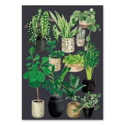 Postkarte Pflanzen Töpfe Papier schwarz grün 10,5x14,5cm