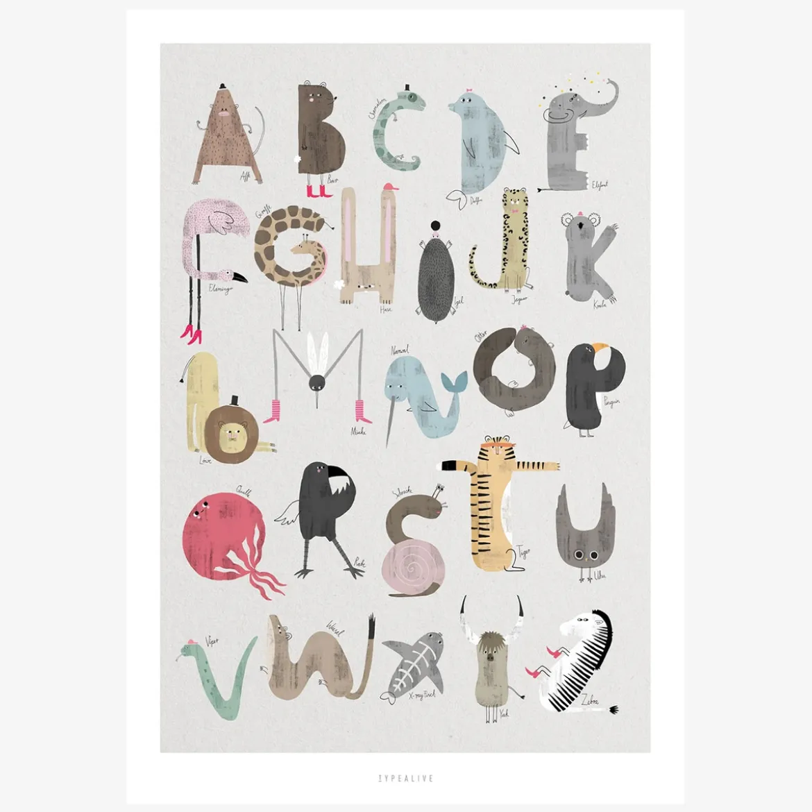 Print ABC Kids Papier weiß grau bunt A5 oder A4