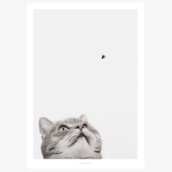 Print Cat and Fly Papier weiß grau A5 14,8x21cm