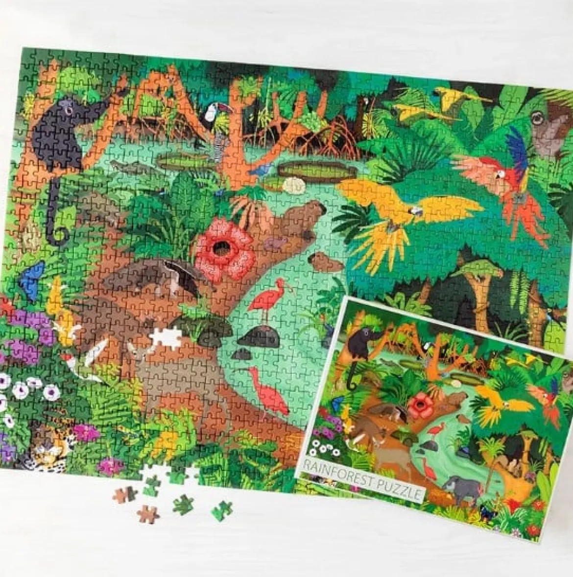 Puzzle Rainforest 1000 Teile – Buntes Regenwald-Puzzle