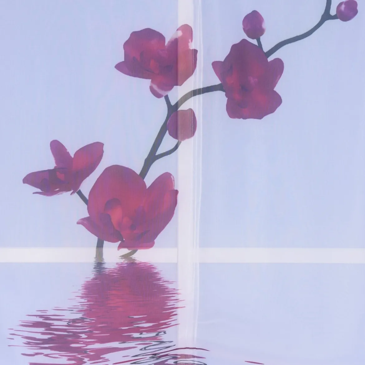 Raffrollo Rollo Voile Digitaldruck Orchidee fuchsia weiß