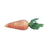 Rayher Dekostreu Möhren Watte orange grün 2,5cm 10 Stück