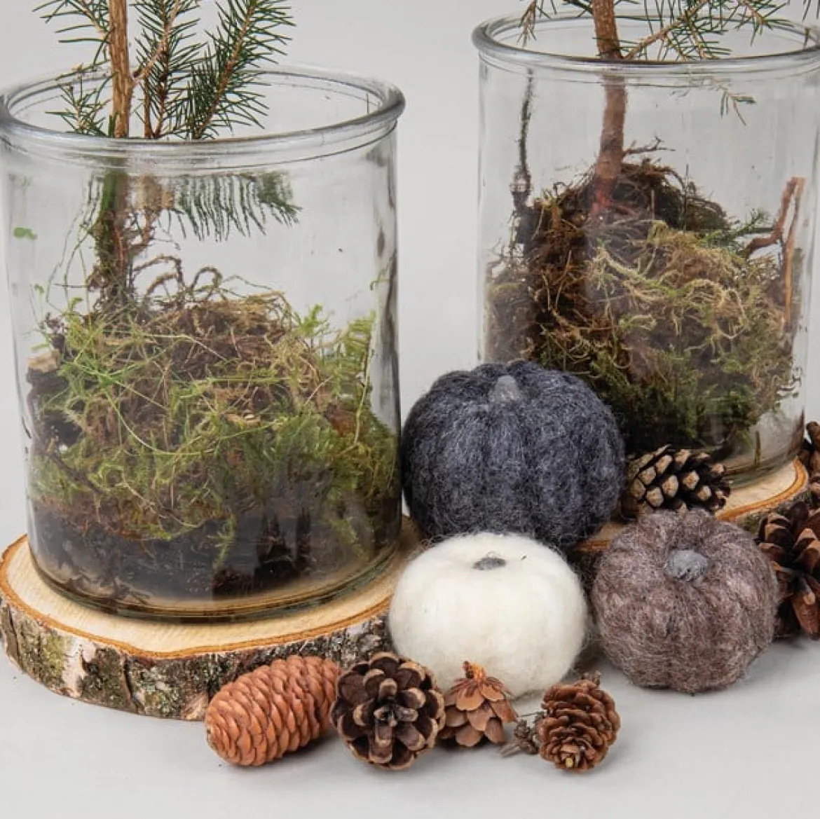 Rayher Holzscheiben natur 3 Stück 10-12cm