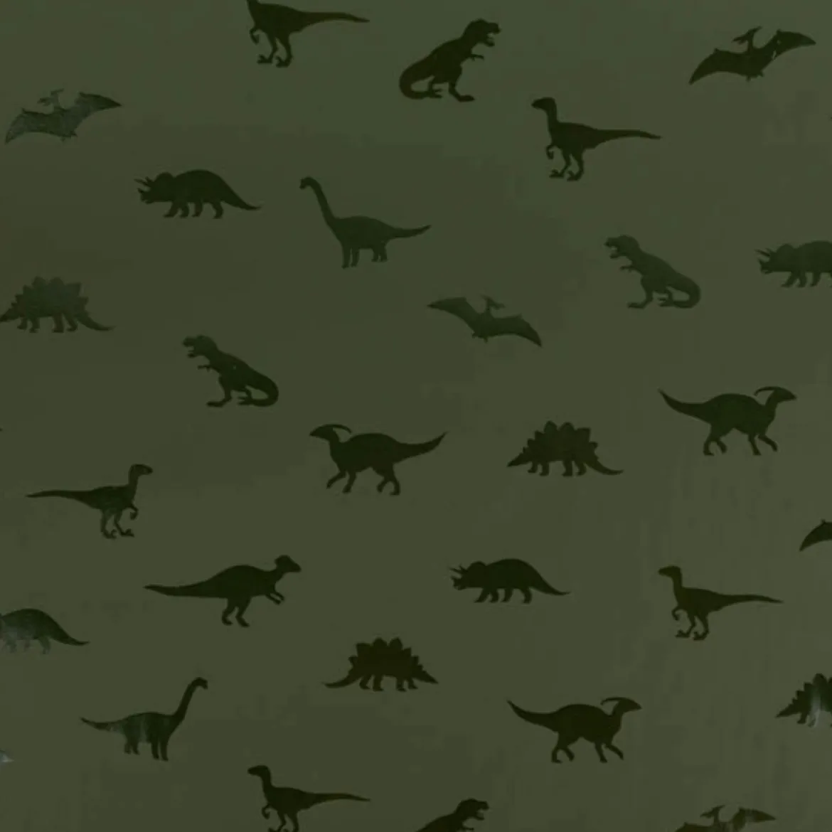 Regenjackenstoff wasserdicht soft Dinosaurier grün 147cm Breite