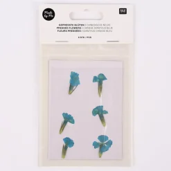 Rico Design Gepresste Blüten Chinesische Nelke 6 Stück blau grün