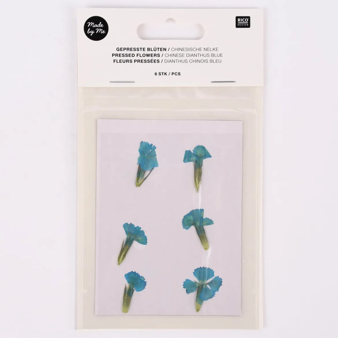 Rico Design Gepresste Blüten Chinesische Nelke 6 Stück blau grün