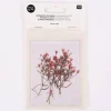 Rico Design Gepresste Pflanzen Schleierkraut 4 Stück rosa grün