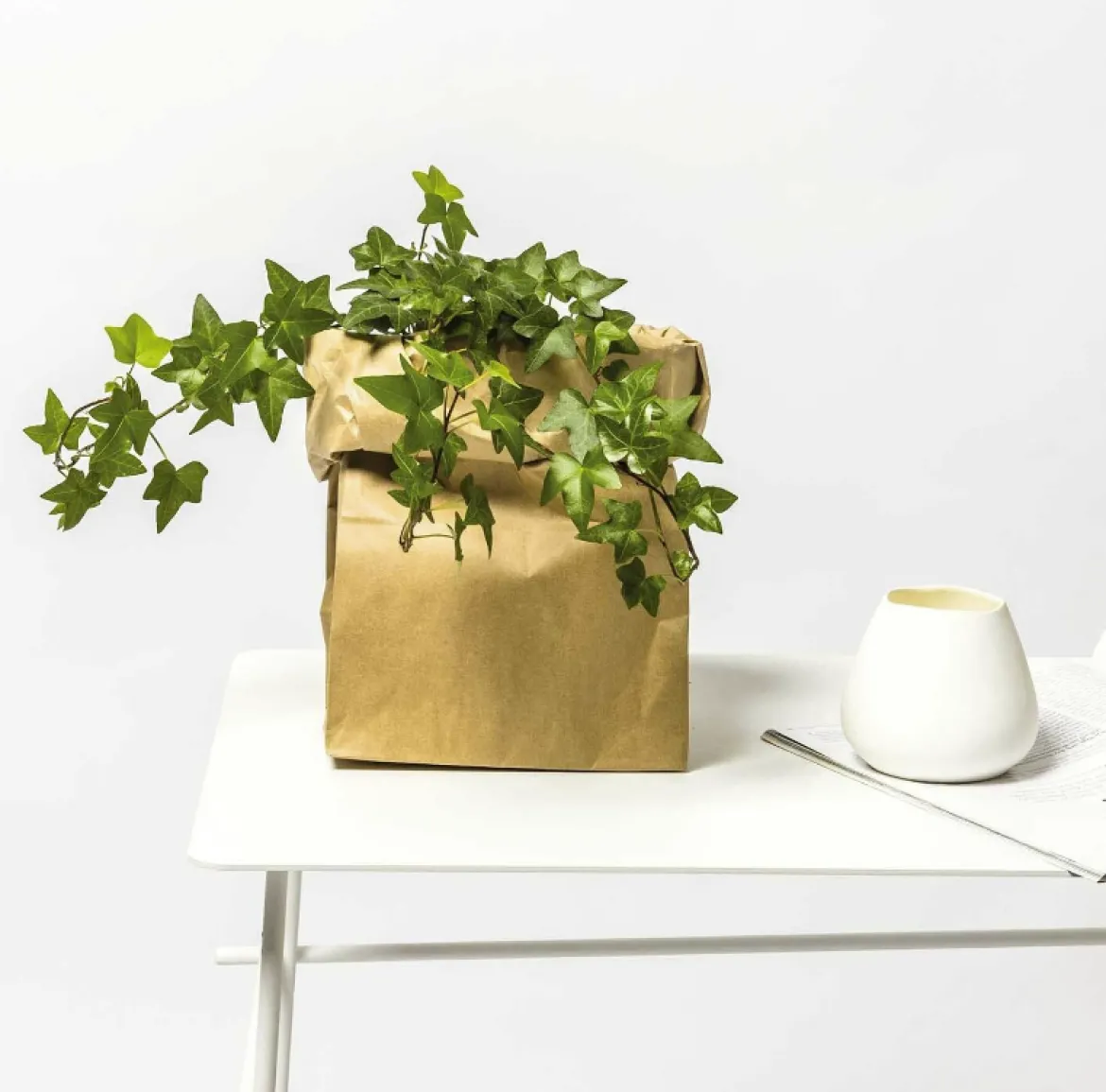 Rico Design Paper Poetry Maxi-Blockbodenbeutel S 41x18x12cm 3 Stück Blockbodenbeutel natur