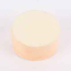 Rico Design Steckschaum für Trockenblumen creme 7x7,5x4cm