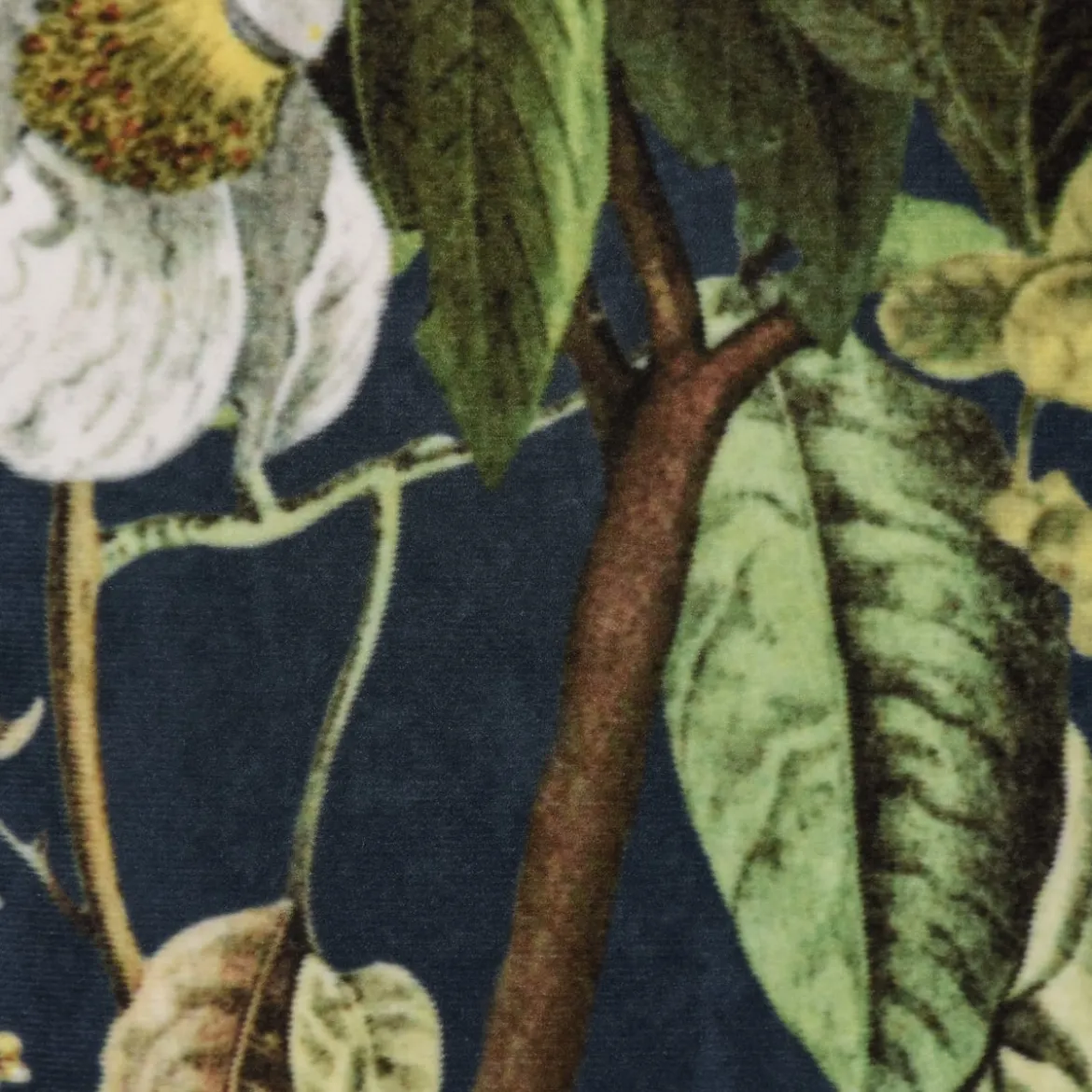 Samtstoff Dekostoff Italian Velvet Samt Affe Vogel Blumen blau grün bunt 1,45m