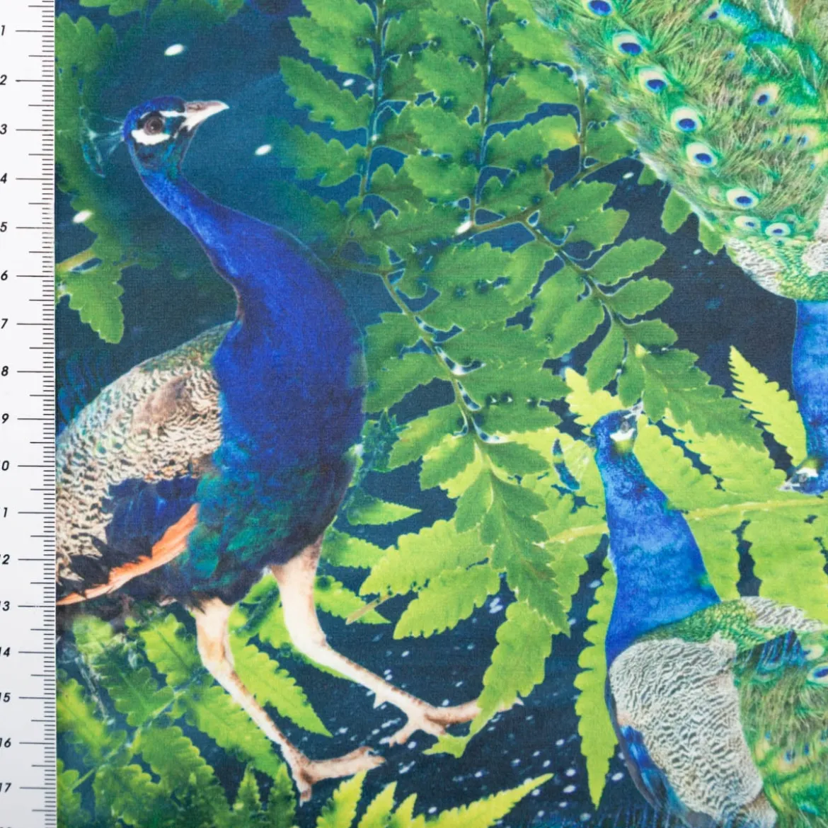 Samtstoff Pfau blau-grün – Digitaldruck mit leuchtendem Design
