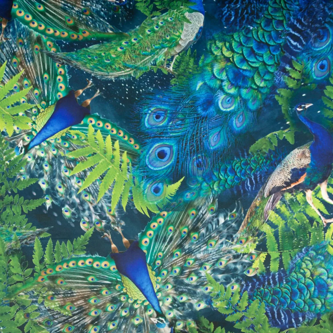 Samtstoff Pfau blau-grün – Digitaldruck mit leuchtendem Design