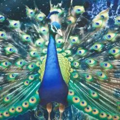 Samtstoff Pfau blau-grün – Digitaldruck mit leuchtendem Design