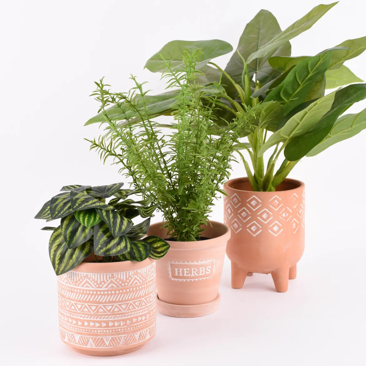 Sass & Belle Übertopf mit Untersetzer Herbs Terracotta weiß 12,5x11,5cm