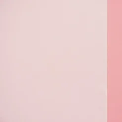Schiebevorhang Flächenvorhang Eva uni weiß 245x60cm