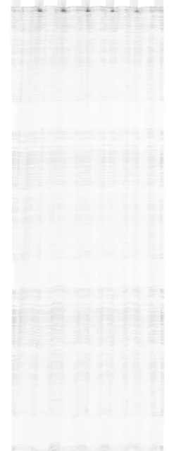 Schlaufenschal Gardine Filou Elbersdrucke transparent Scherli Ikat weiß140cmx255cm
