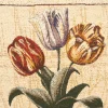 SCHÖNER LEBEN. Gobelin Kissenhülle Tulpen beige 42x42cm