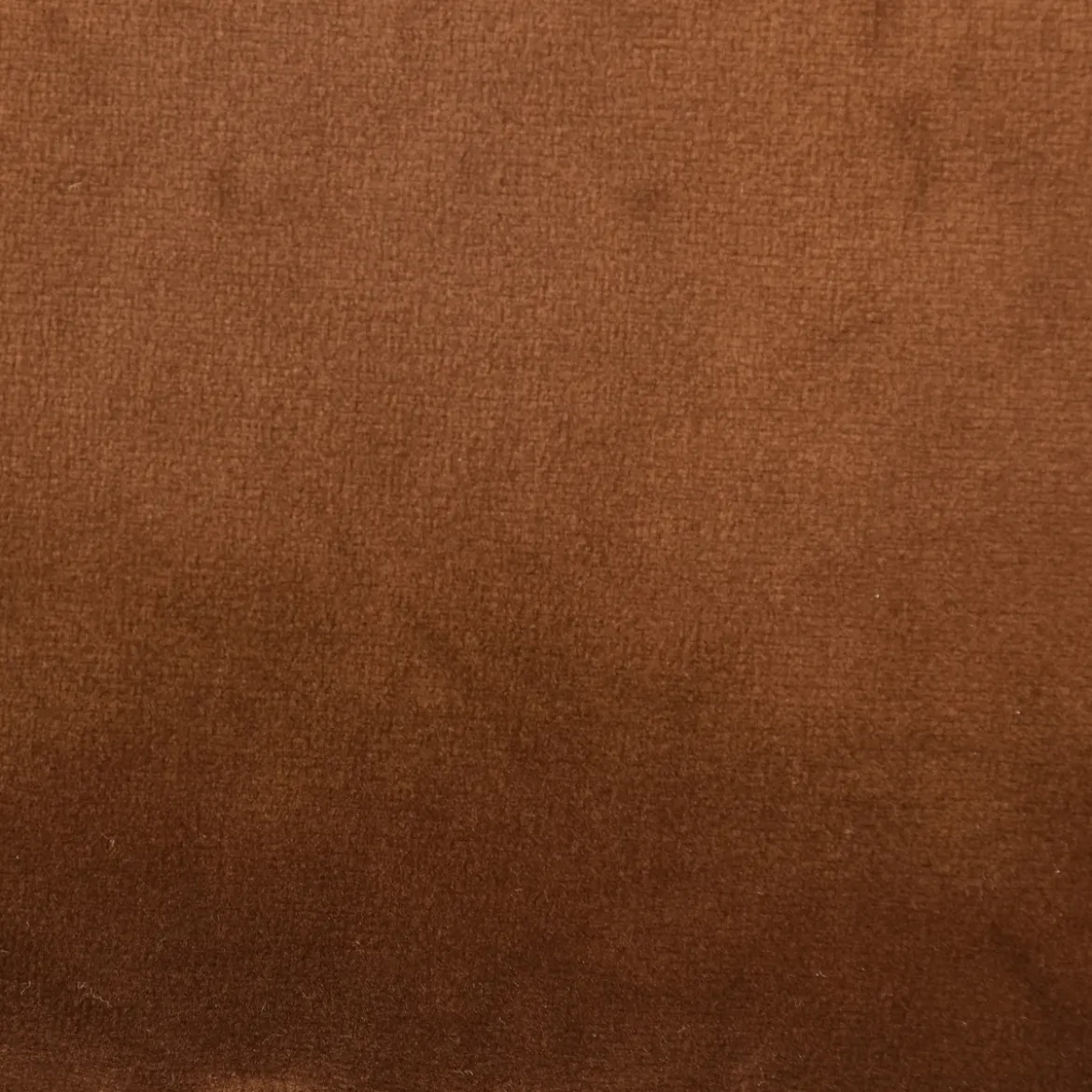 SCHÖNER LEBEN. Samtkissen mit Kederumrandung und Federfüllung cognac 30x50cm