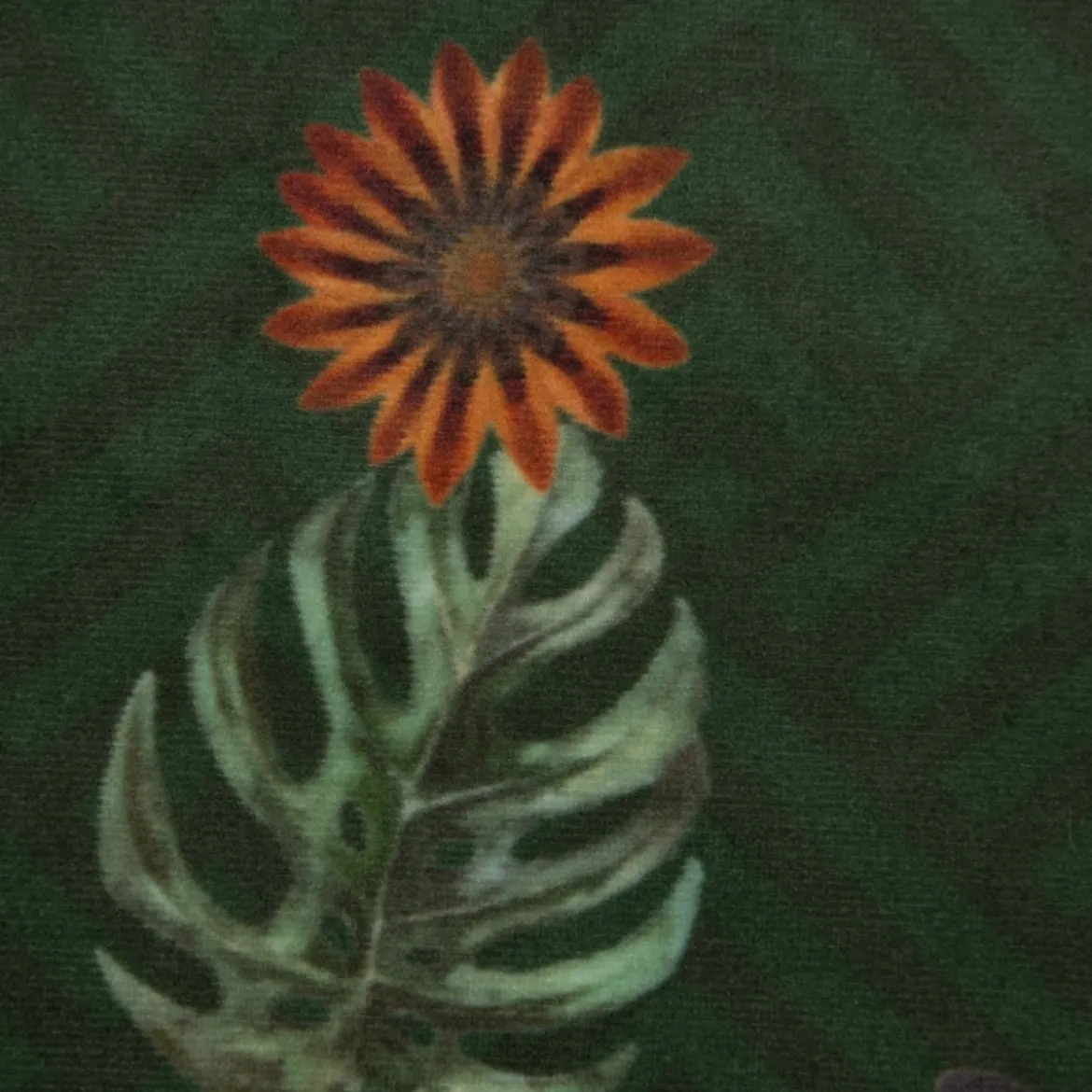 SCHÖNER LEBEN. Vorhang Velvet Deluxe Samt Tropical Vögel Blumen grün bunt 245cm oder Wunschlänge
